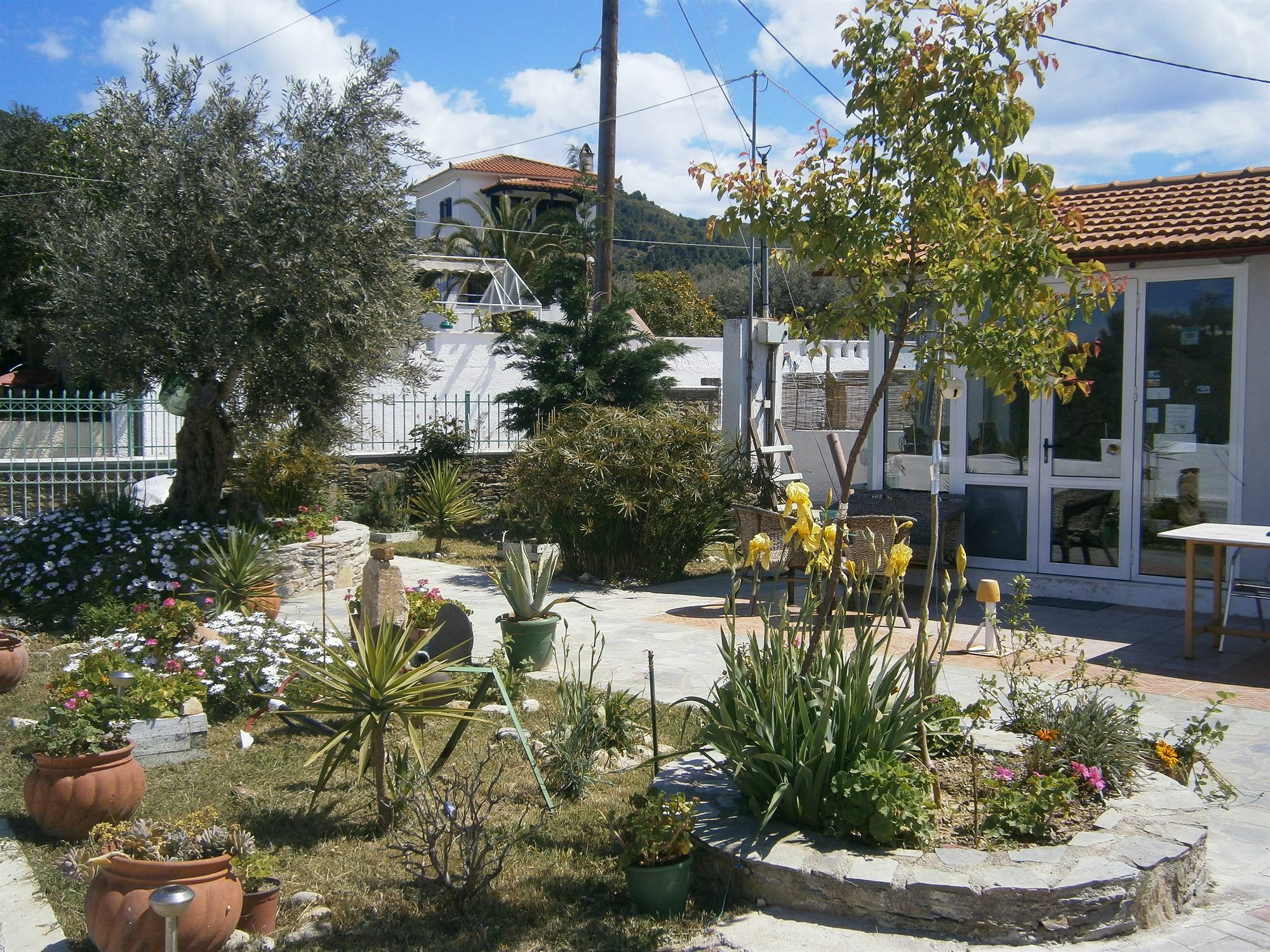 Liofoto Apartment Skopelos Exterior foto
